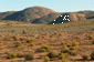 Namaqualand scenery